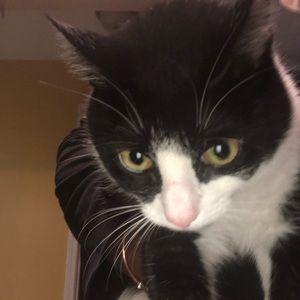 Meet your Posher, Janice